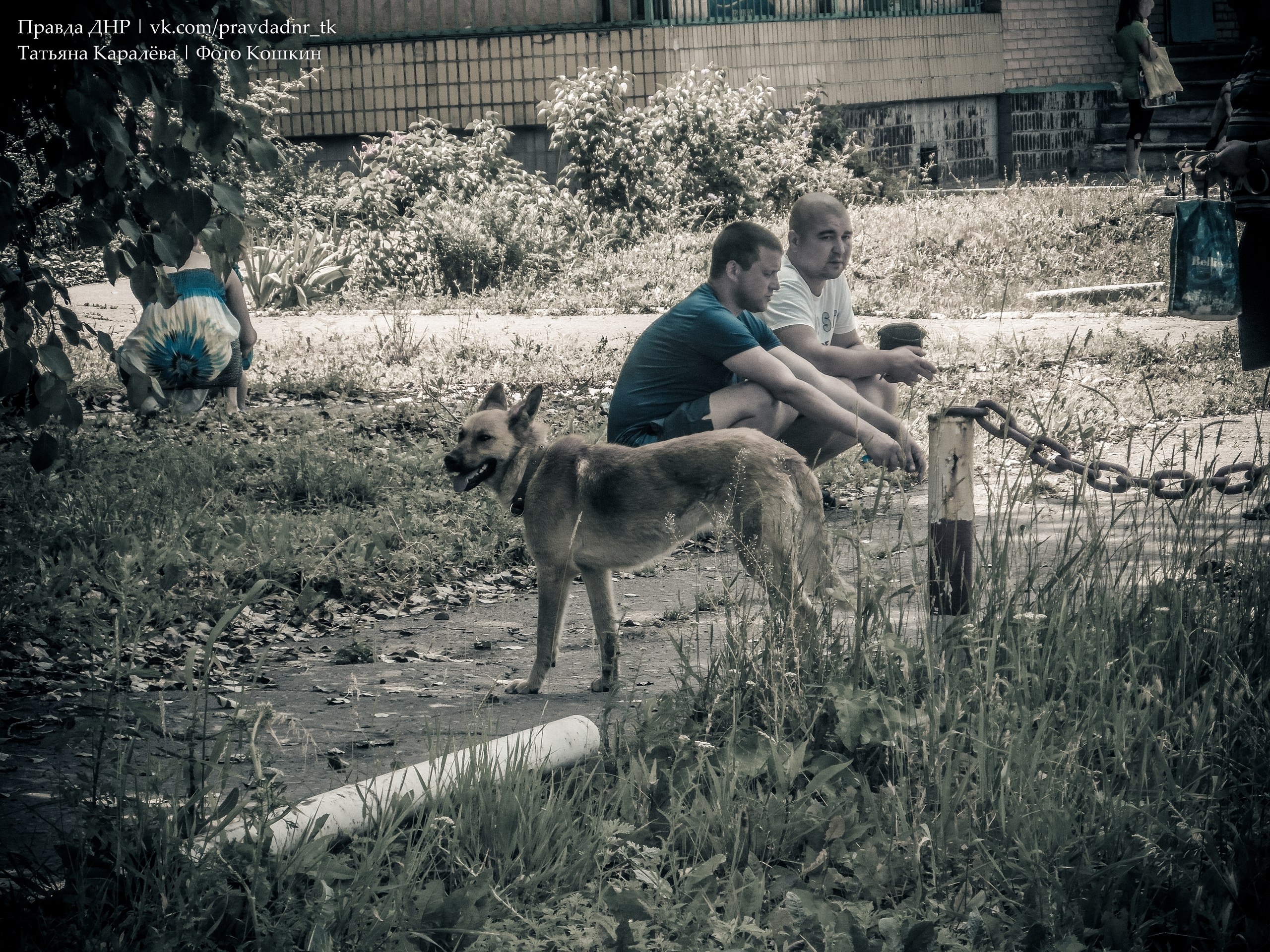 Settlement Gornyak Destroyed by Ukrainian Artillery (Photoreport)