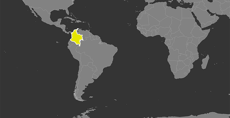 The Social and Armed Conflicts in Colombia