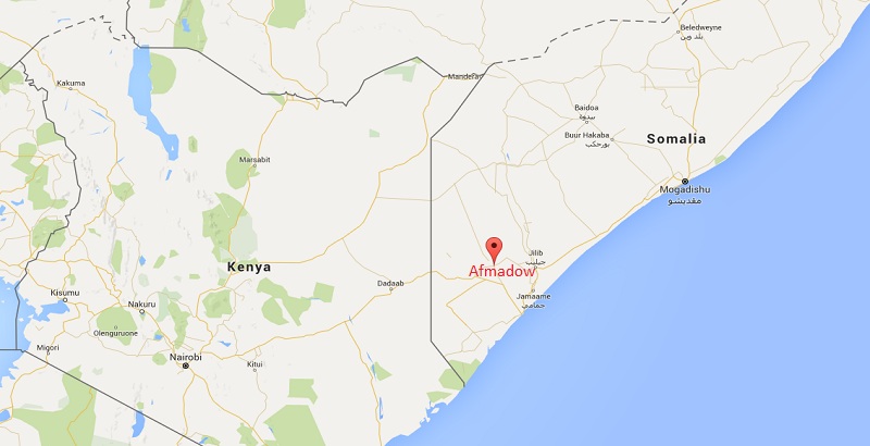 21 al-Shabab terrorists were killed by Kenyan army in Somalia