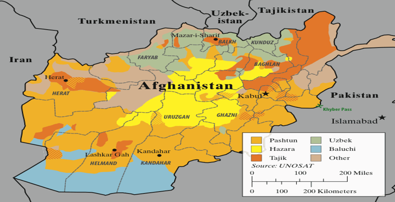 7 Taliban militants killed by Afghan forces in last 24 hours