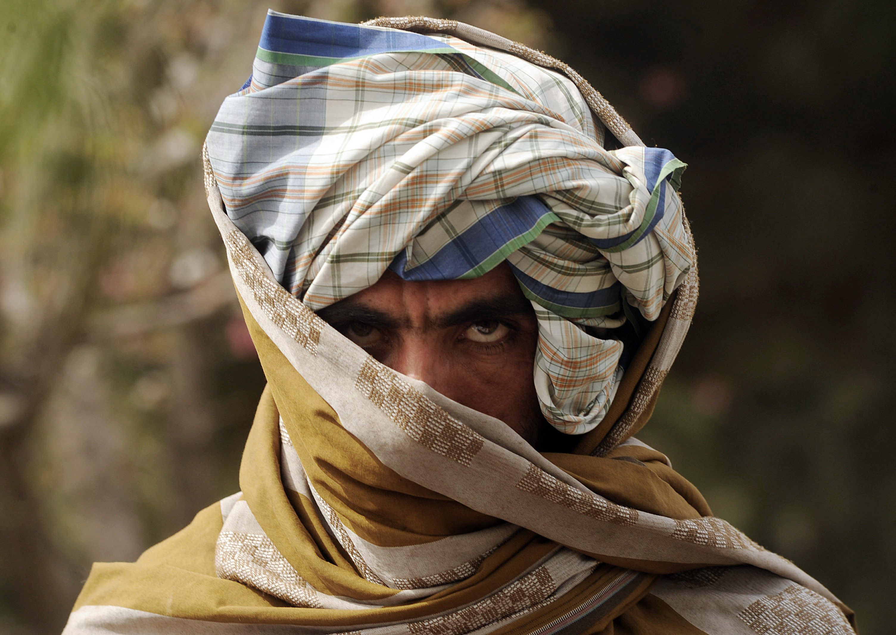 'Our people' in the Taliban