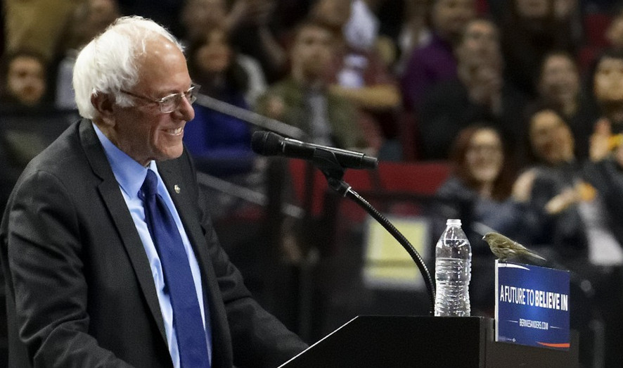 Are There Still Chances for Sanders? The Things That the Media in the USA Does Not Talk About