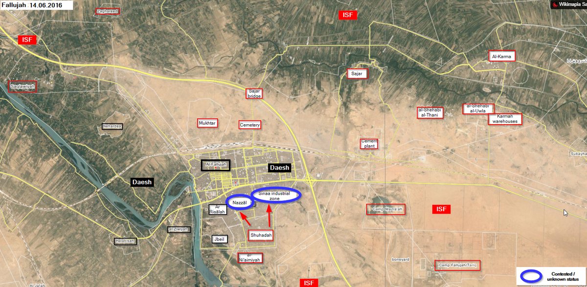 Iraq's Army Secures First "Relatively Safe" Exit Route for Civilians Fleeing Fallujah