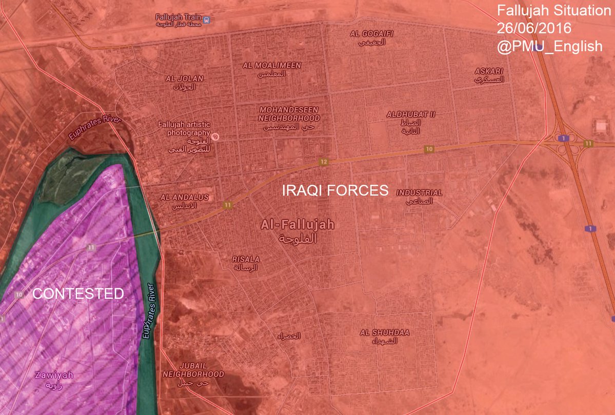 Iraqi Forces Liberated the City of Fallujah