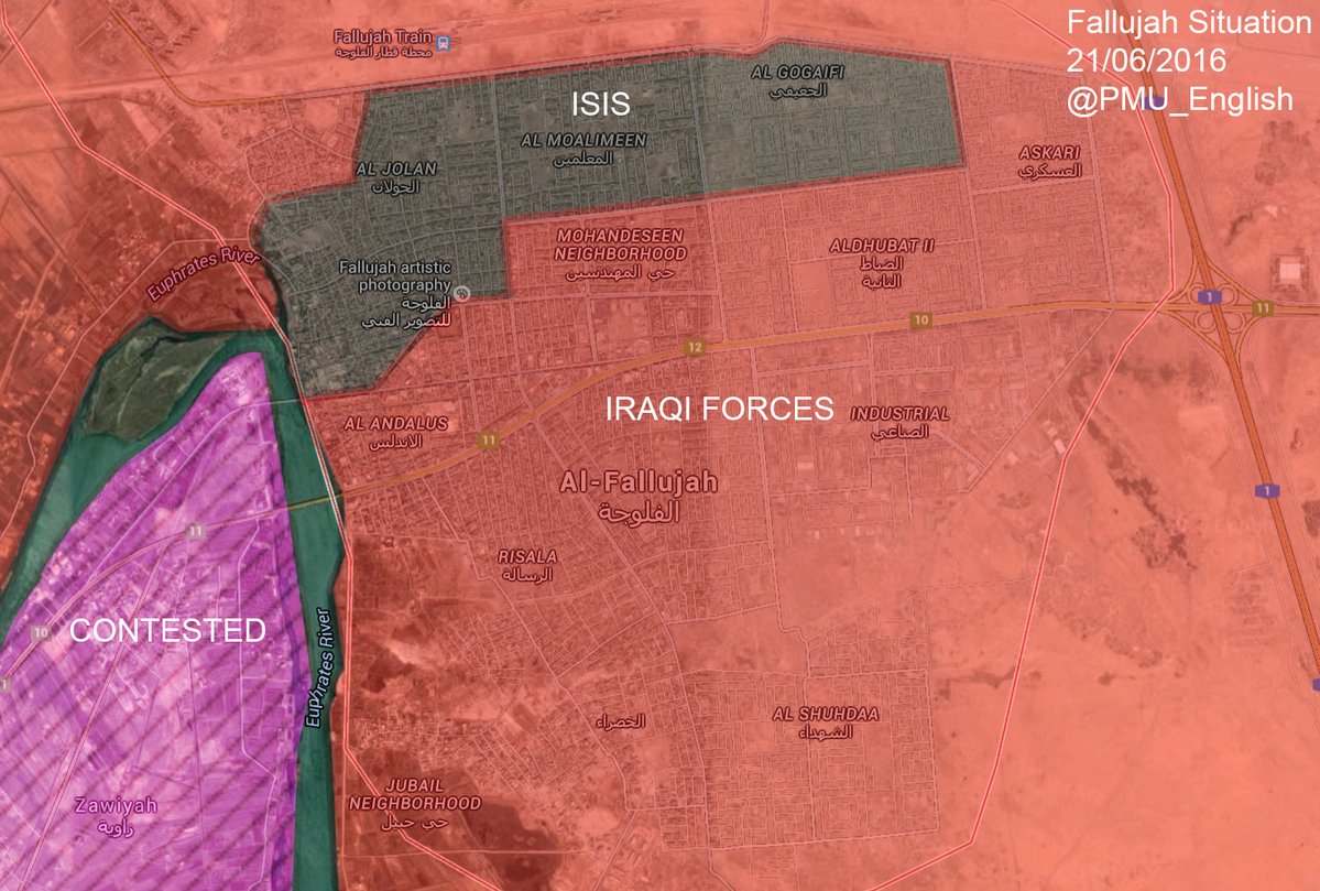 Military Situation in Fallujah, Iraq on June 21