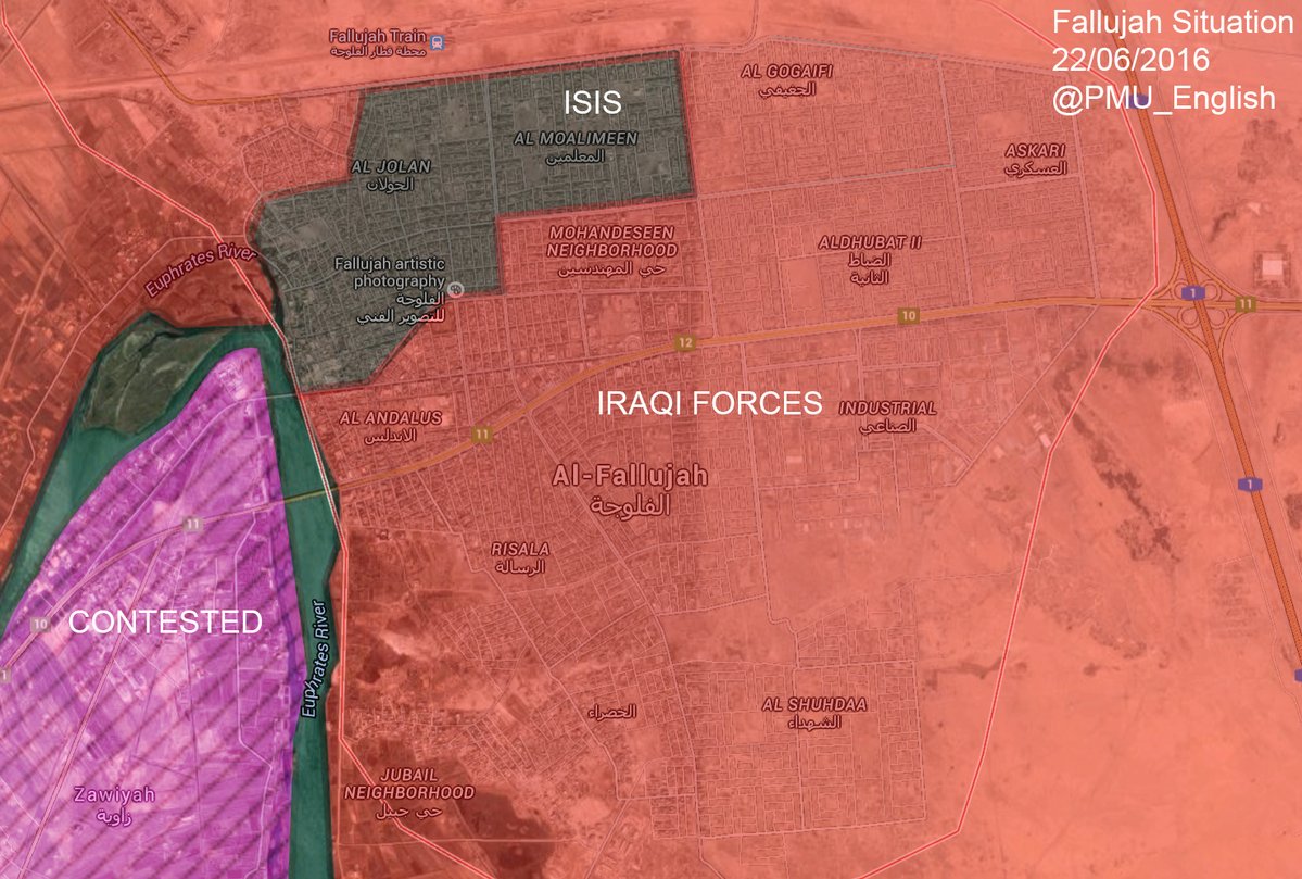 Iraqi Forces Liberate Al Gogaifi district of Fallujah