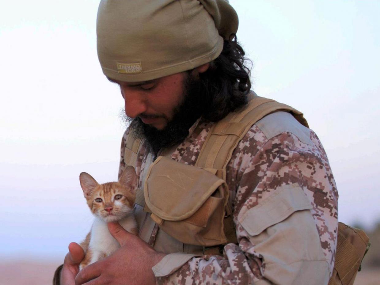 ISIS Starts to Use Kittens for Recruiting New Members