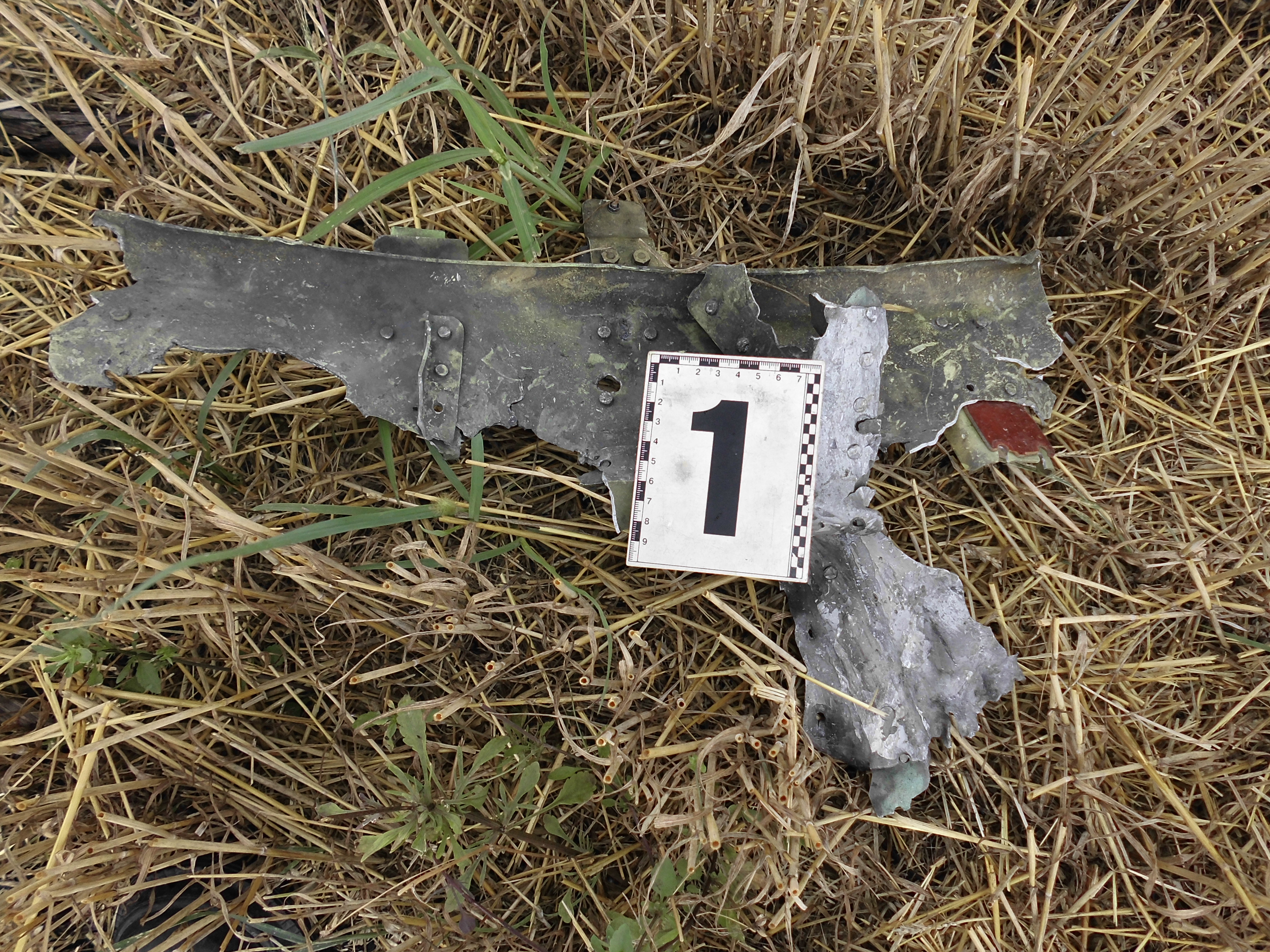 MH17 Ukraine Plane Crash: Additional Details Revealed (+Exclusive Photos from the Scene)