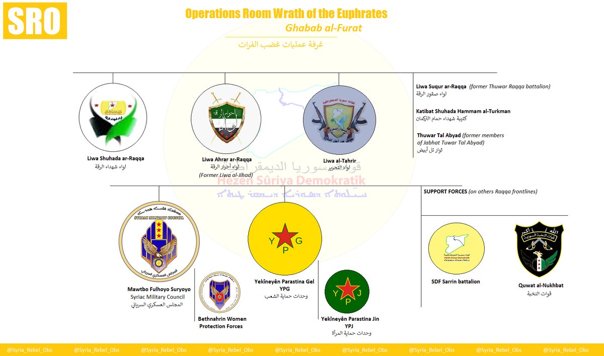 US Troops & Kurdish Militias Advance on Raqqa (Photos, Map, Infographics)