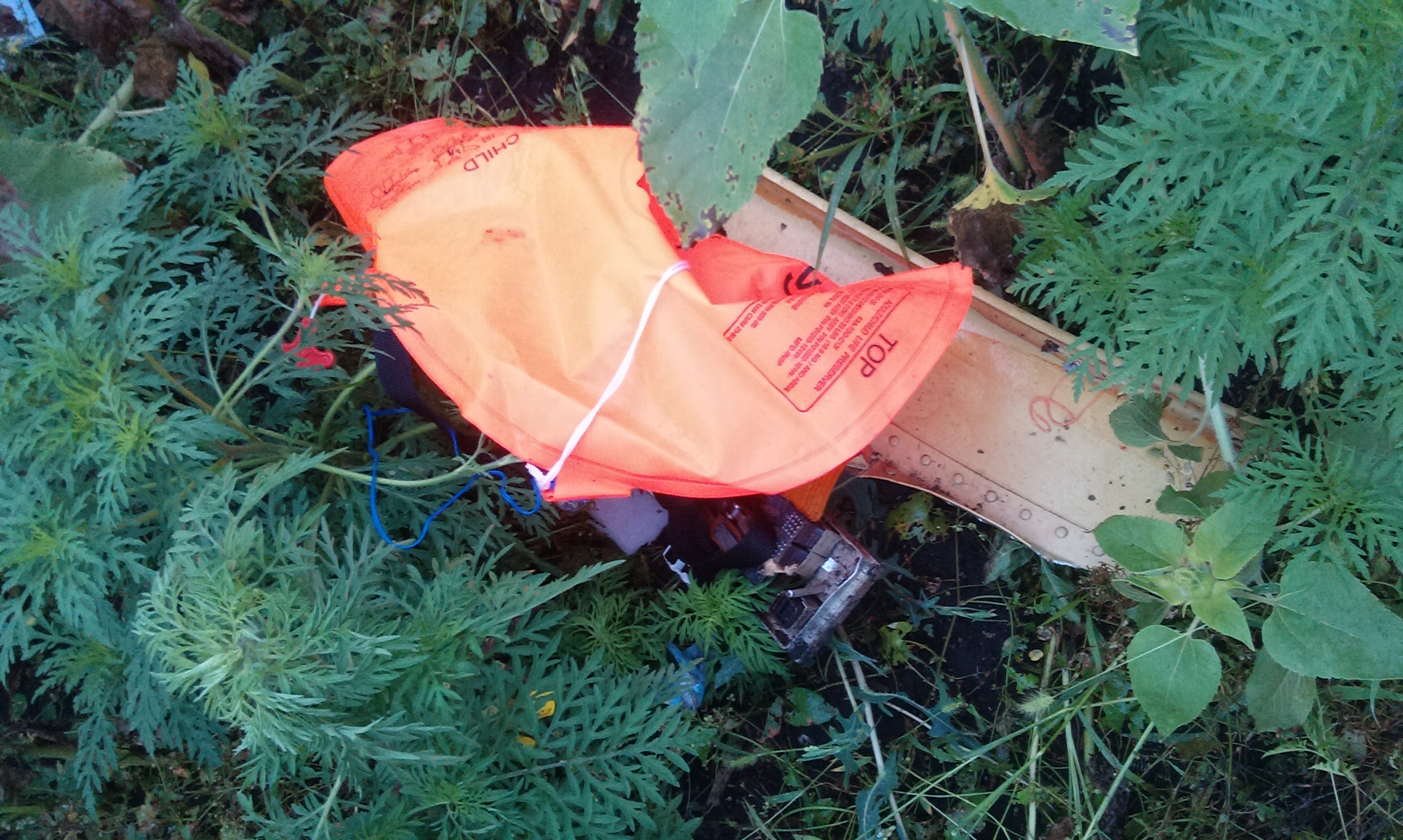 MH17 Ukraine Plane Crash: Additional Details Revealed (+Exclusive Photos from the Scene)