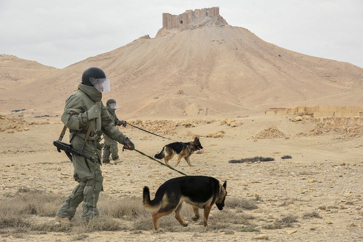 Russian Servicemen Finished Removing IEDs In Palmyra