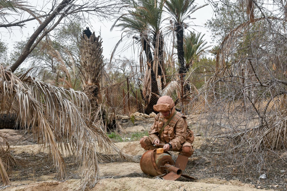 Russian Servicemen Finished Removing IEDs In Palmyra