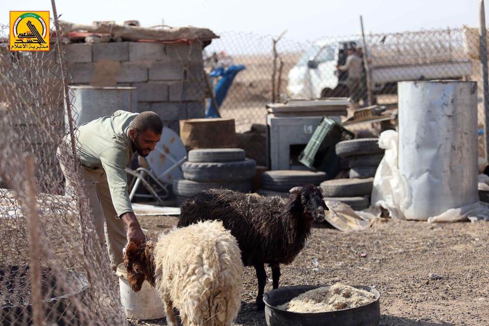 Iraqi Government Forces Liberated 539km2 In Hawija Area From ISIS (Photos, Videos)