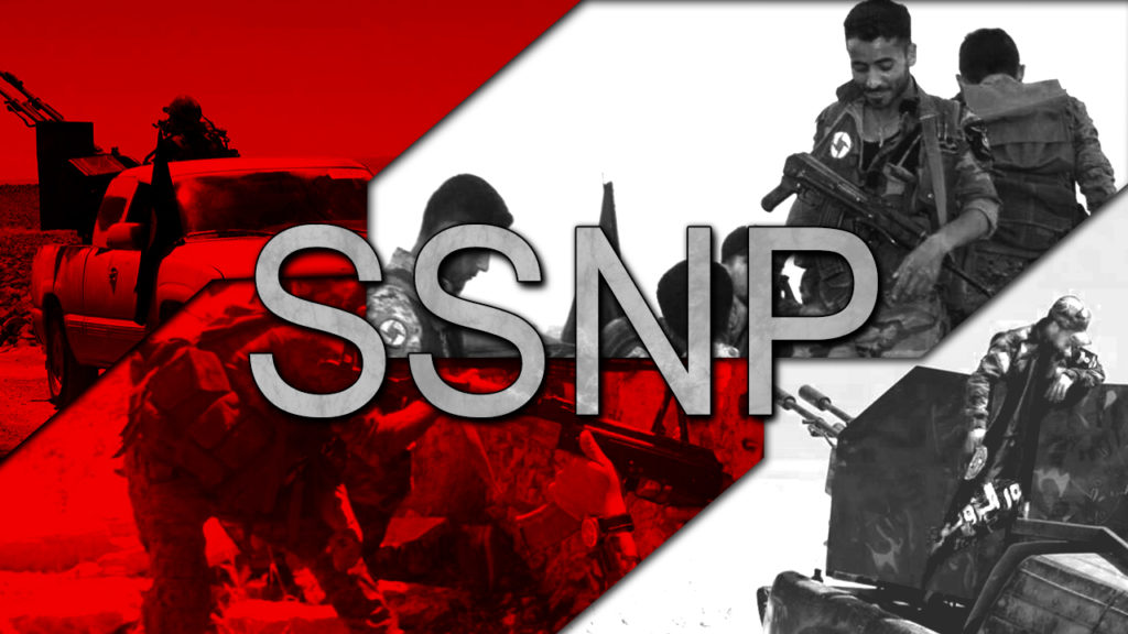 Syrian Social Nationalist Party, Arab Nationalism And Conflict In Syria