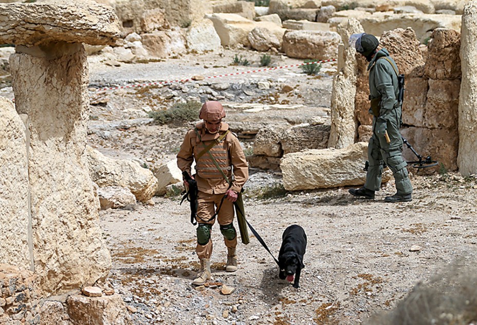 Famous Bomb Detection Dog - Julbars