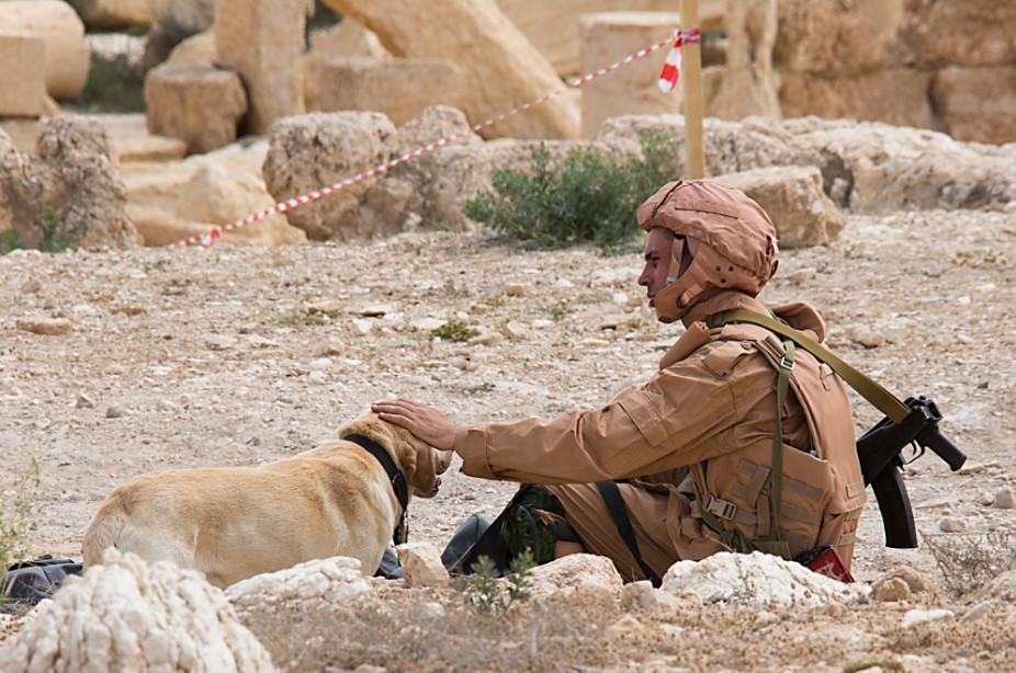 Famous Bomb Detection Dog - Julbars