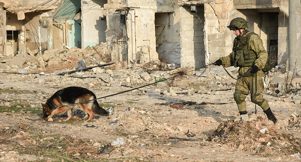 Famous Bomb Detection Dog - Julbars