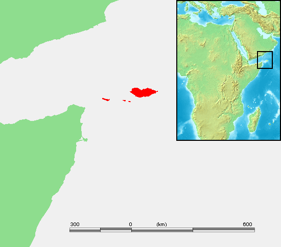 Yemen and The Militarization of Strategic Waterways