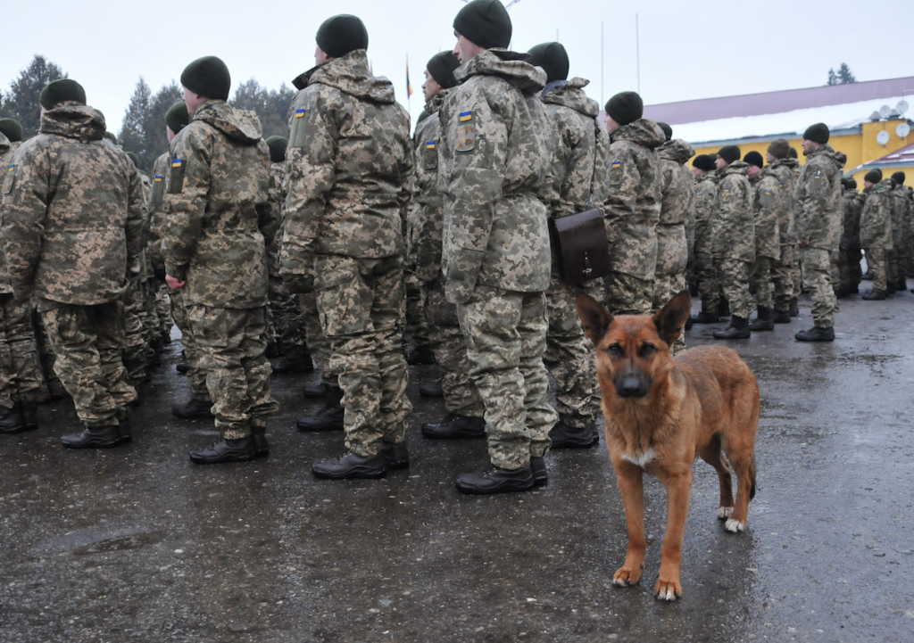 Ukrainian Military Lost 2,700 Servicemen As Irrecoverable Nonbattle Casualties In Donbass Conflict