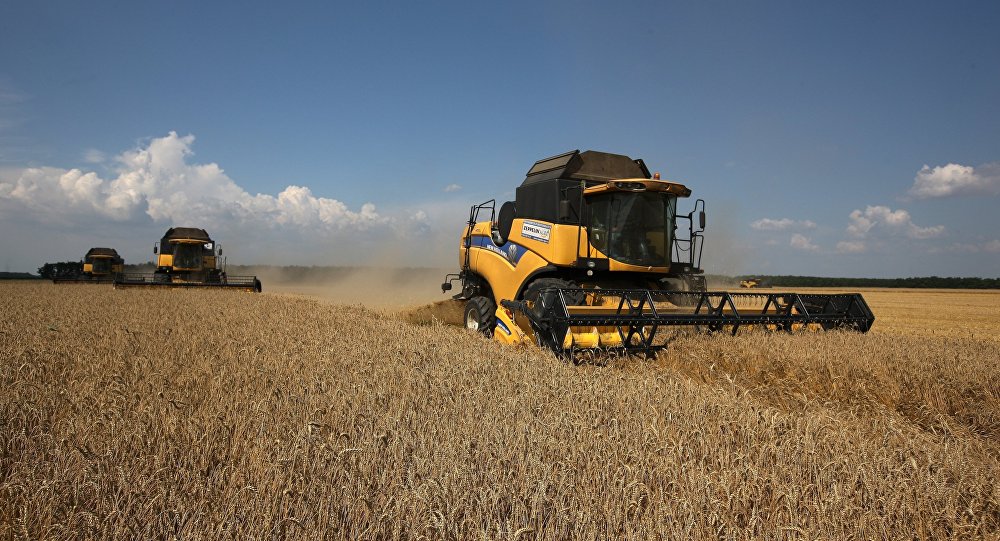 Turkey To Use National Currency For Wheat Imports From Russia