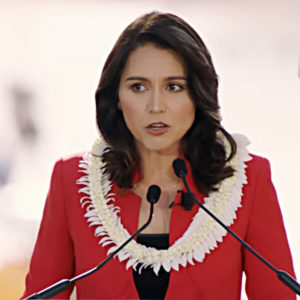 The Saker: "The Tulsi Gabbard phenomenon as a diagnostic tool"