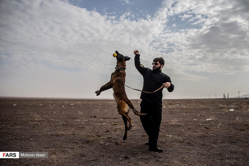 In Photos: Drills Of Special Unit Of Iranian Islamic Revolutionary Guard Corps