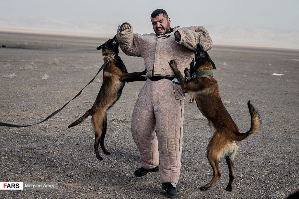 In Photos: Drills Of Special Unit Of Iranian Islamic Revolutionary Guard Corps