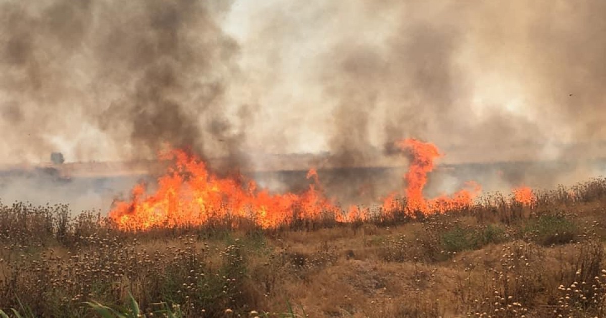 SDF Denies Responsibility For Crops Fires, Accuses Turkish-Backed Militants