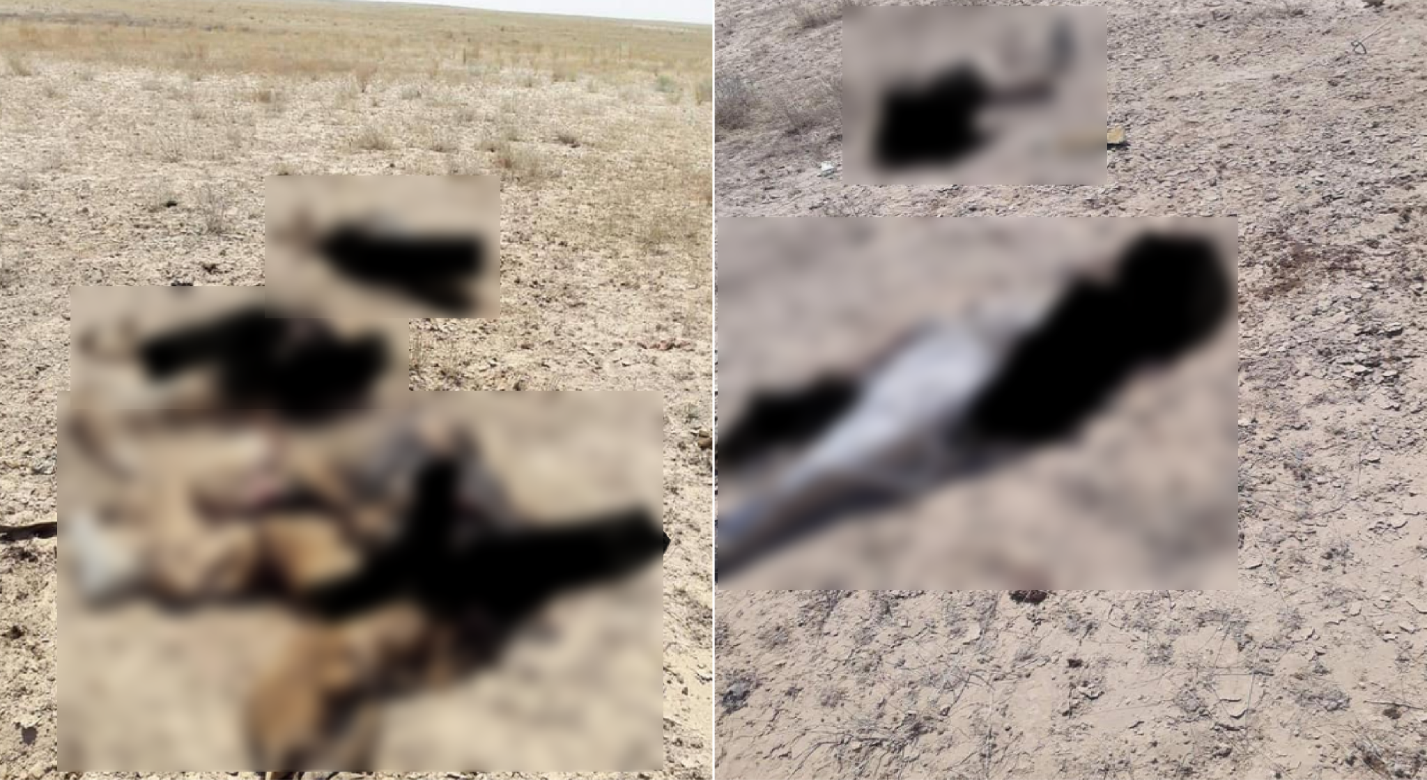 Iraqi PMU Eliminates Several ISIS Suicide Bombers On Border With Syria (Photos)