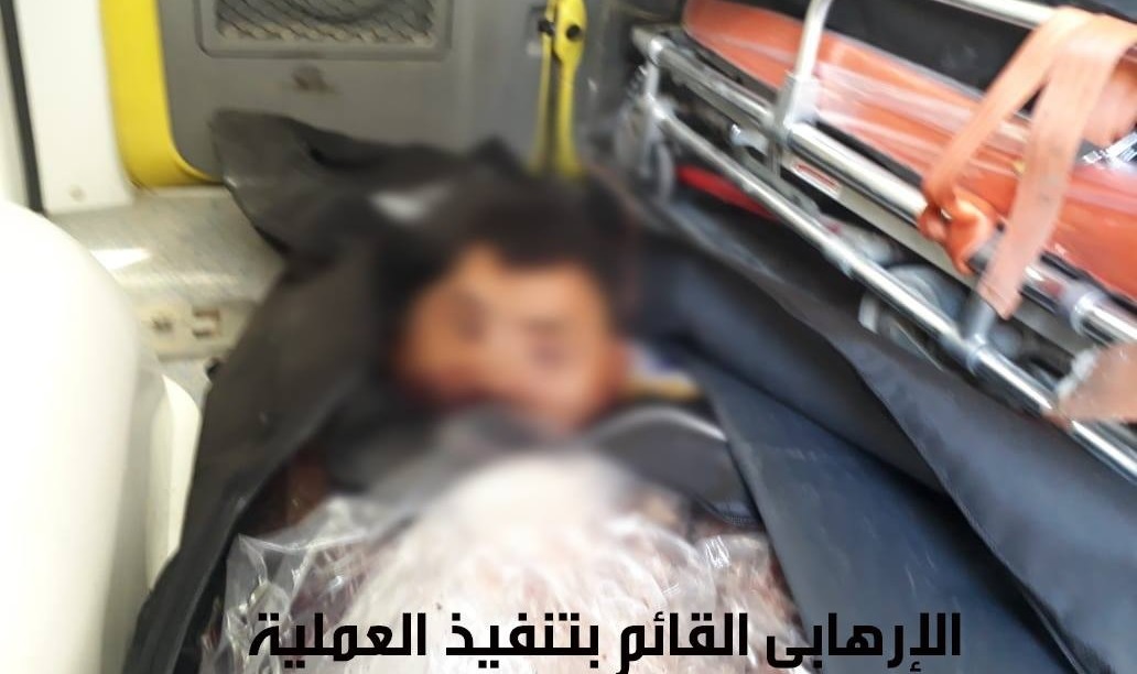 Egyptian Army Foils ISIS Suicide Attack In Northern Sinai