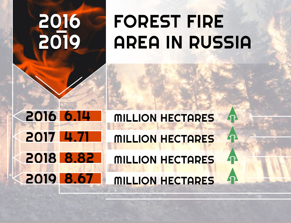 Siberian Forests Are Burning