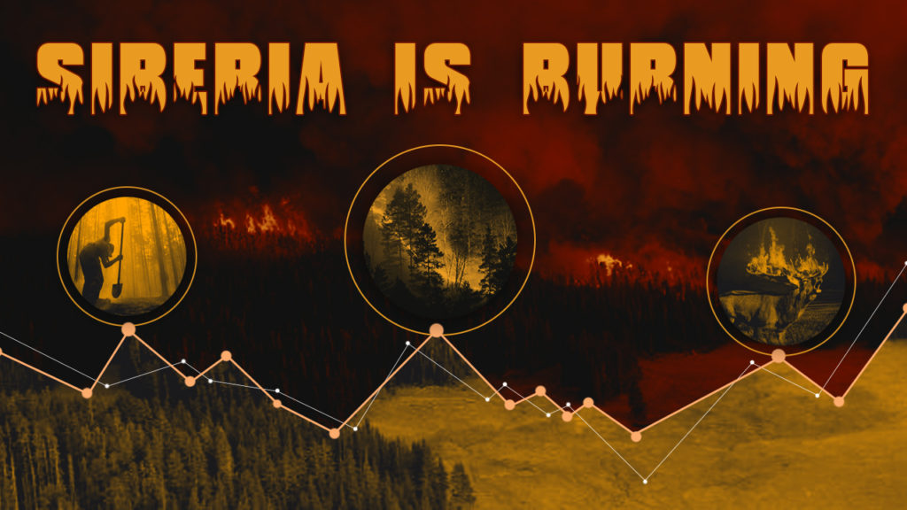 Siberian Forests Are Burning