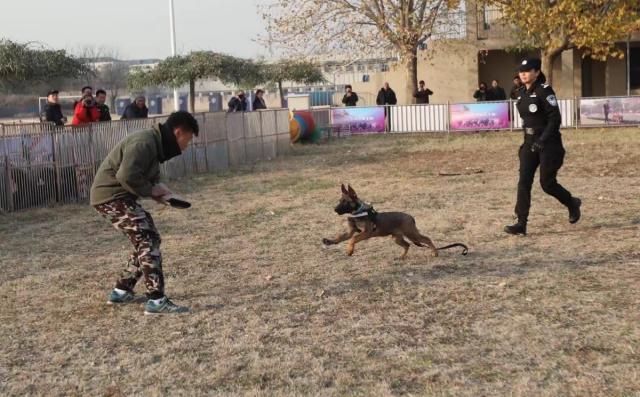 Beijing Police Accepts Six Cloned Dogs Into Service (Photos)