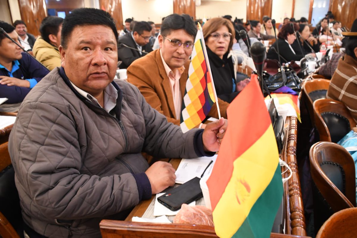 Bolivian Parliament Elects New Head, Refuses to Acknowledge Self-Proclaimed President Jeanine Anez