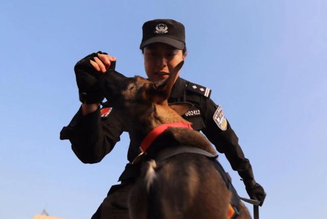 Beijing Police Accepts Six Cloned Dogs Into Service (Photos)