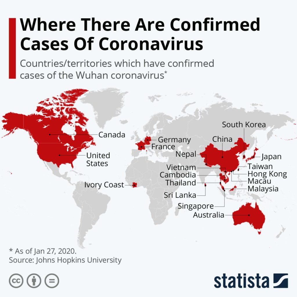 Pseudo-Apocalypse: Coronavirus Outbreak In China