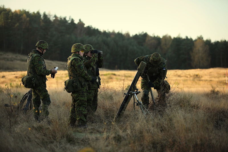 Estonia Mobilizes Radicals From Paramilitary Formations Under Pretext Of Coronavirus Threat