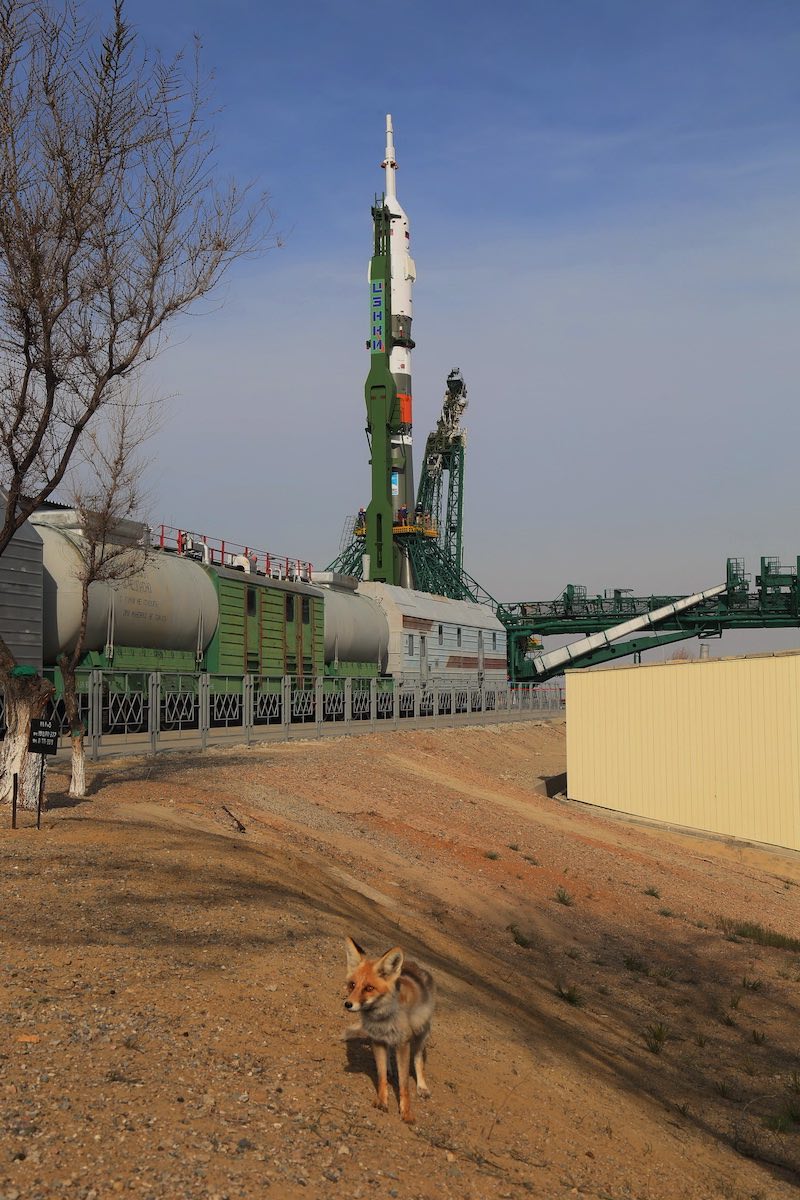 Expedition 63 To International Space Station Successfully Launches From Baikonur: Video And Photos