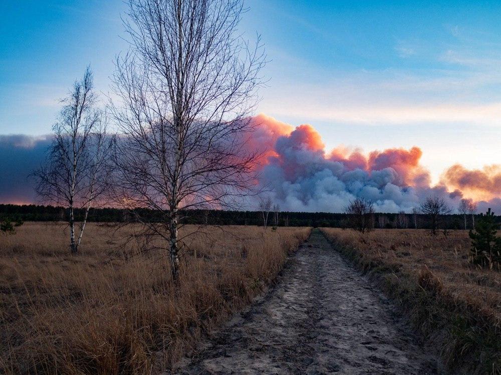 State Agency for Chernobyl Management Calls Situation Critical As Fire Edges 2Km To Nuclear Reactor