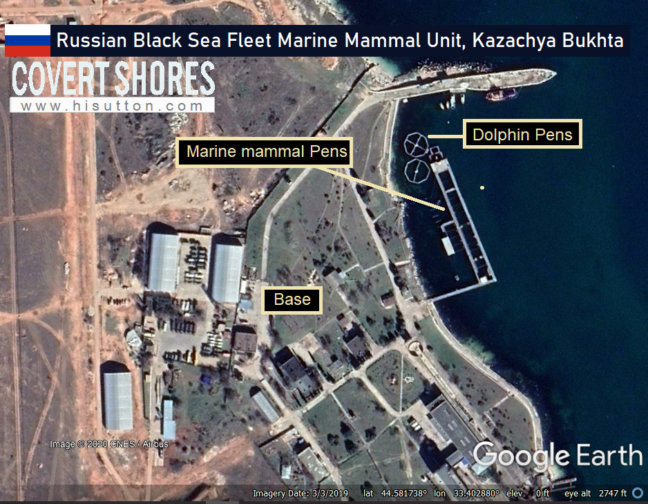 Russia Deployed Its Navy Seals And Dolphins To Defend Tartus Port, Syria: Covert Shores Report