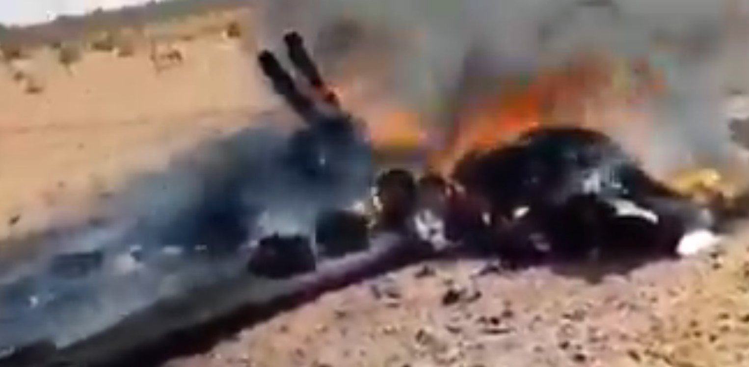 Libyan National Army Shot Down Another One Turkish Bayraktar TB2 Drone (Video)