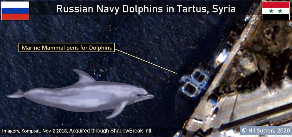 Additional Satellite Images Suggest Russia Used Trained Dolphins In Syria's Tartus Port