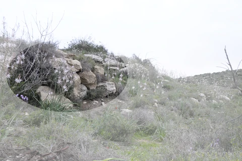 Commando: Jewish Edition - IDF Soldiers Receive Anti-Thermal Vision Stone-Pattern Camouflage