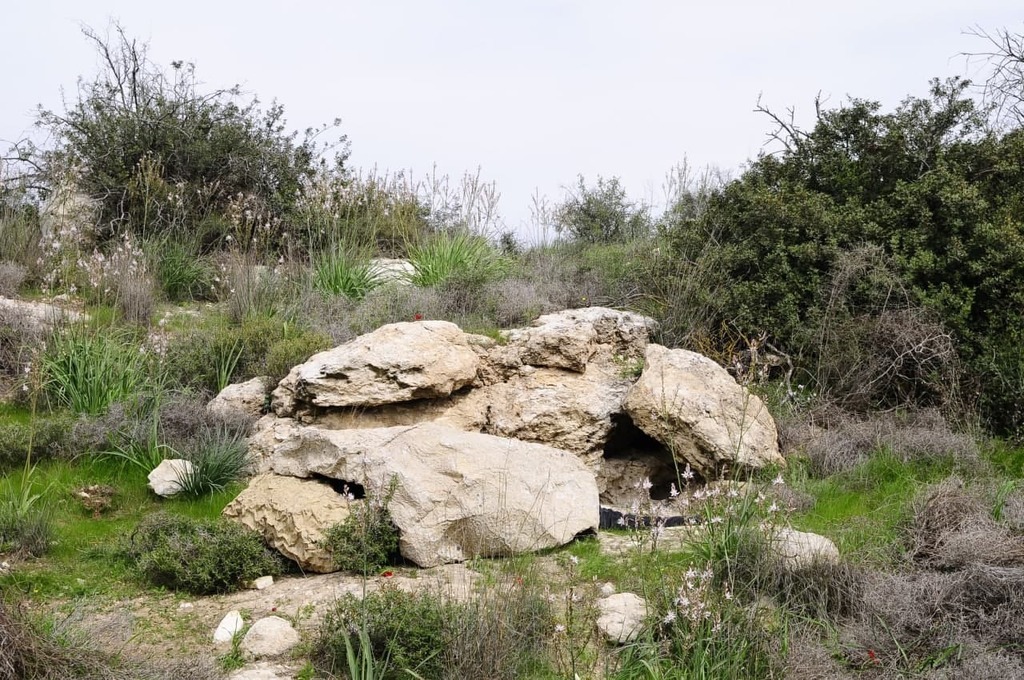 Commando: Jewish Edition - IDF Soldiers Receive Anti-Thermal Vision Stone-Pattern Camouflage