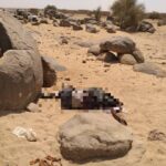 Mali: Four UN Peacekeepers, Two Soldiers Killed In Two Separate Attacks (Photos)