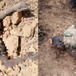 Nigerian Army Sustained Heavy Losses In Recent ISIS Attack In Borno (Photos)