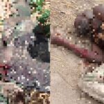 Nigerian Army Sustained Heavy Losses In Recent ISIS Attack In Borno (Photos)