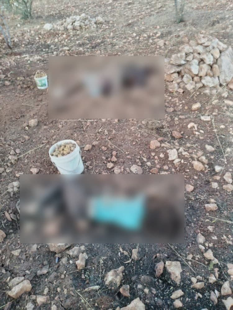 Man And Child Killed In Landmine Explosion In Greater Idlib