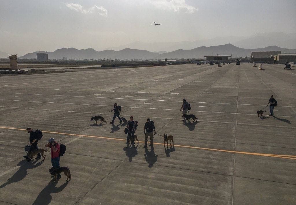 In Video: First Casualties At Kabul Airport (18+)