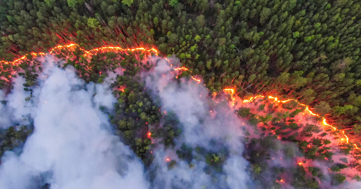 Siberian Wildfires Bigger Than Sum Of Global Fires, Reached Geographic North Pole